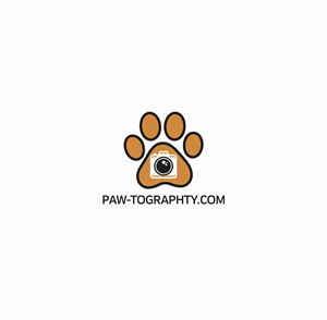 Logo Design by KING JM for this project | Design: #34774730