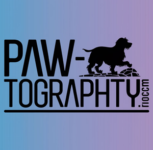 Logo Design by KING JM for this project | Design: #34774731