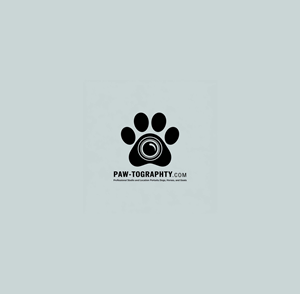 Logo Design by KING JM for this project | Design: #34774732