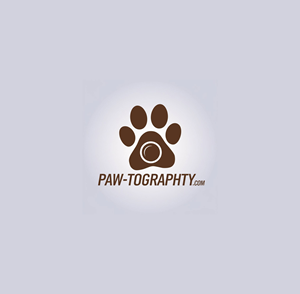 Logo Design by KING JM for this project | Design: #34774733