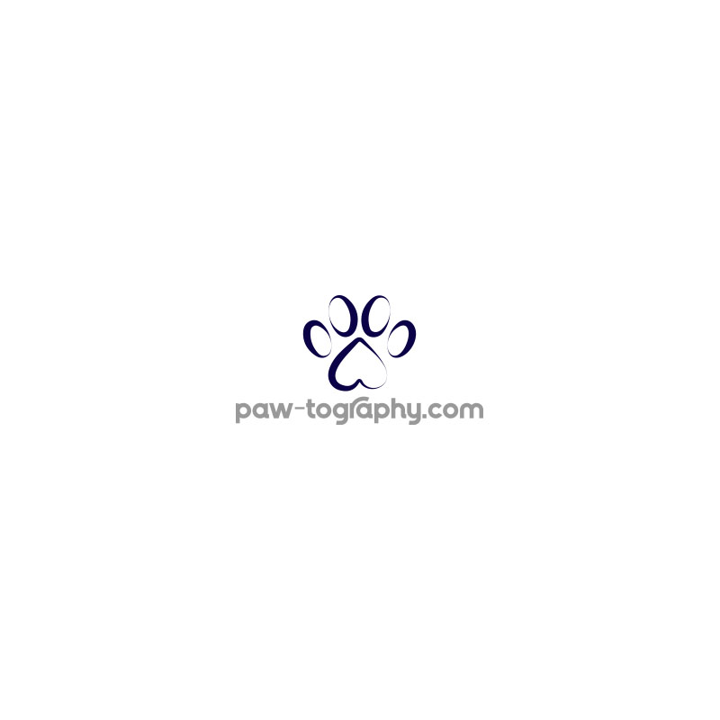 Diseño de Logo por Coli para este proyecto | Diseño #34808755