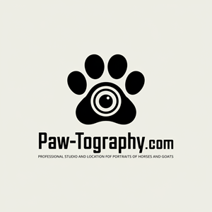 Logo Design by Shariqology for this project | Design: #34778324