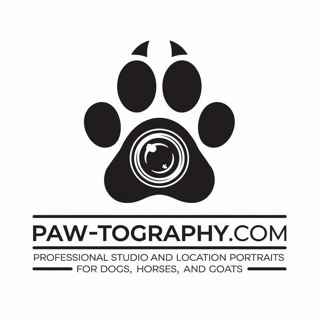 Diseño de Logo por Shariqology para este proyecto | Diseño #34778326