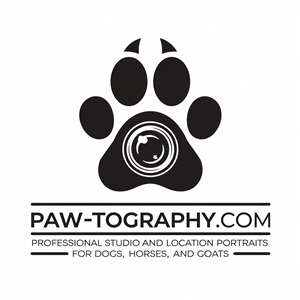 Logo Design by Shariqology for this project | Design: #34778326