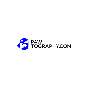 Diseño de Logo por babyaga para este proyecto | Diseño: #34800742