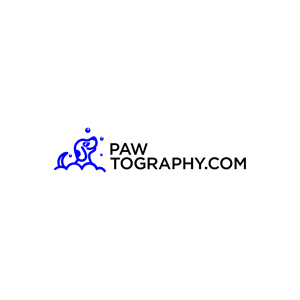 Diseño de Logo por babyaga para este proyecto | Diseño: #34800757