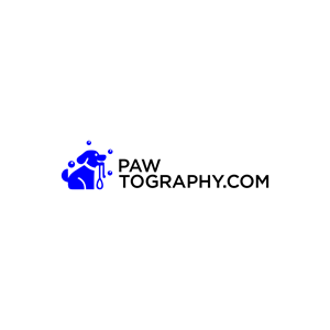 Diseño de Logo por babyaga para este proyecto | Diseño: #34800767