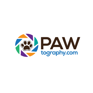 Logo Design by Krold IT Solutions for this project | Design: #34784159