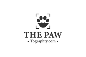 Logo Design by Flora638design for this project | Design: #34781567
