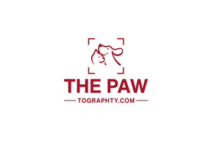 Logo Design by Flora638design for this project | Design: #34781786