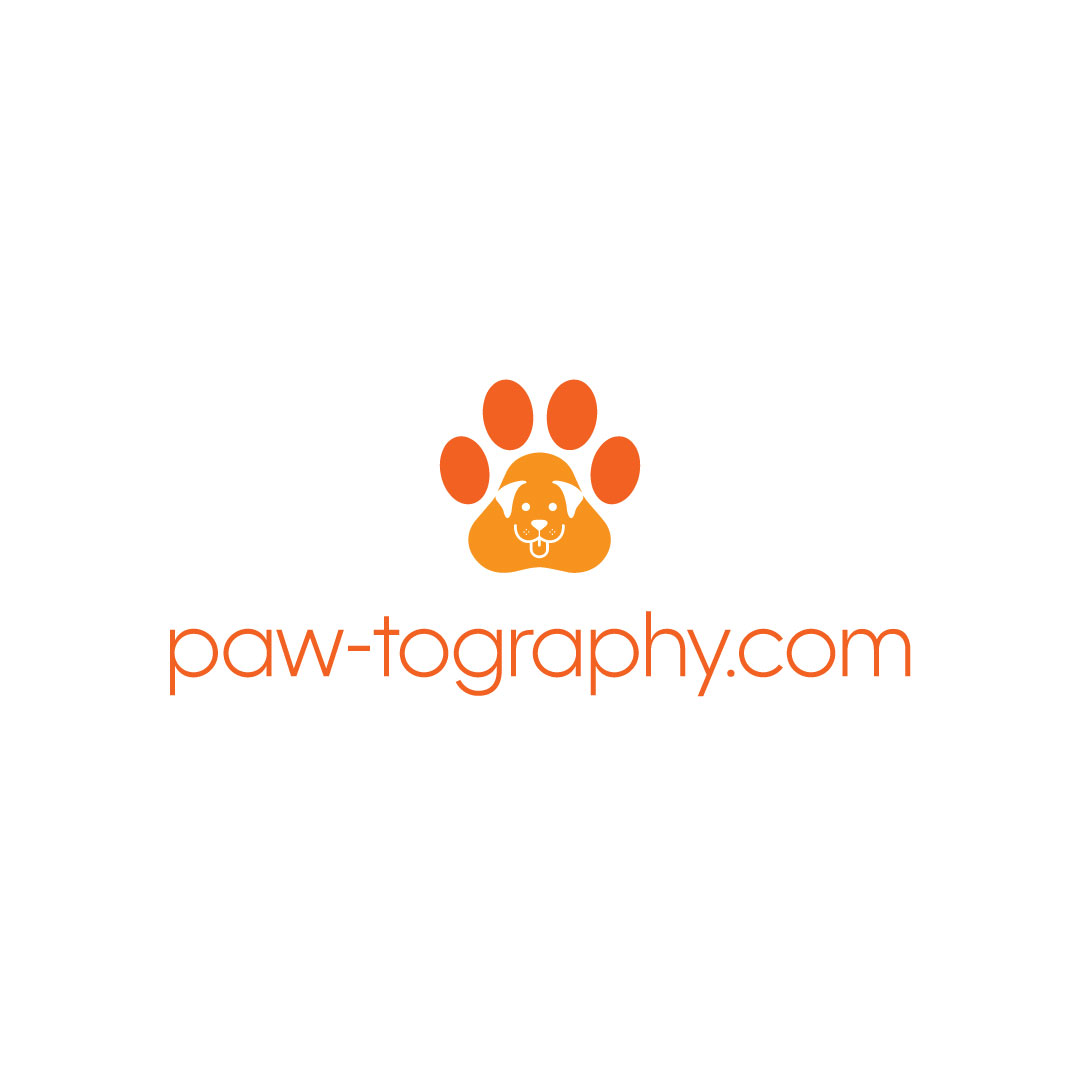 Design de Logo par jamal2486 pour ce projet | Design #34813171