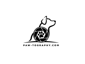 Logo Design by VALUES