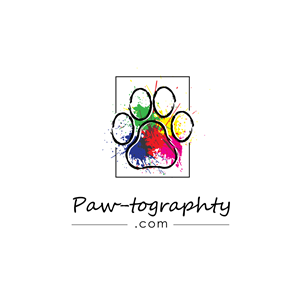 Logo Design by Dhimant Maloo for this project | Design: #34780277
