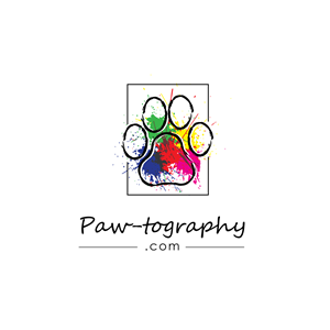 Logo Design by Dhimant Maloo for this project | Design: #34790595