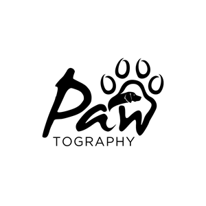 Logo Design by KCin Design  