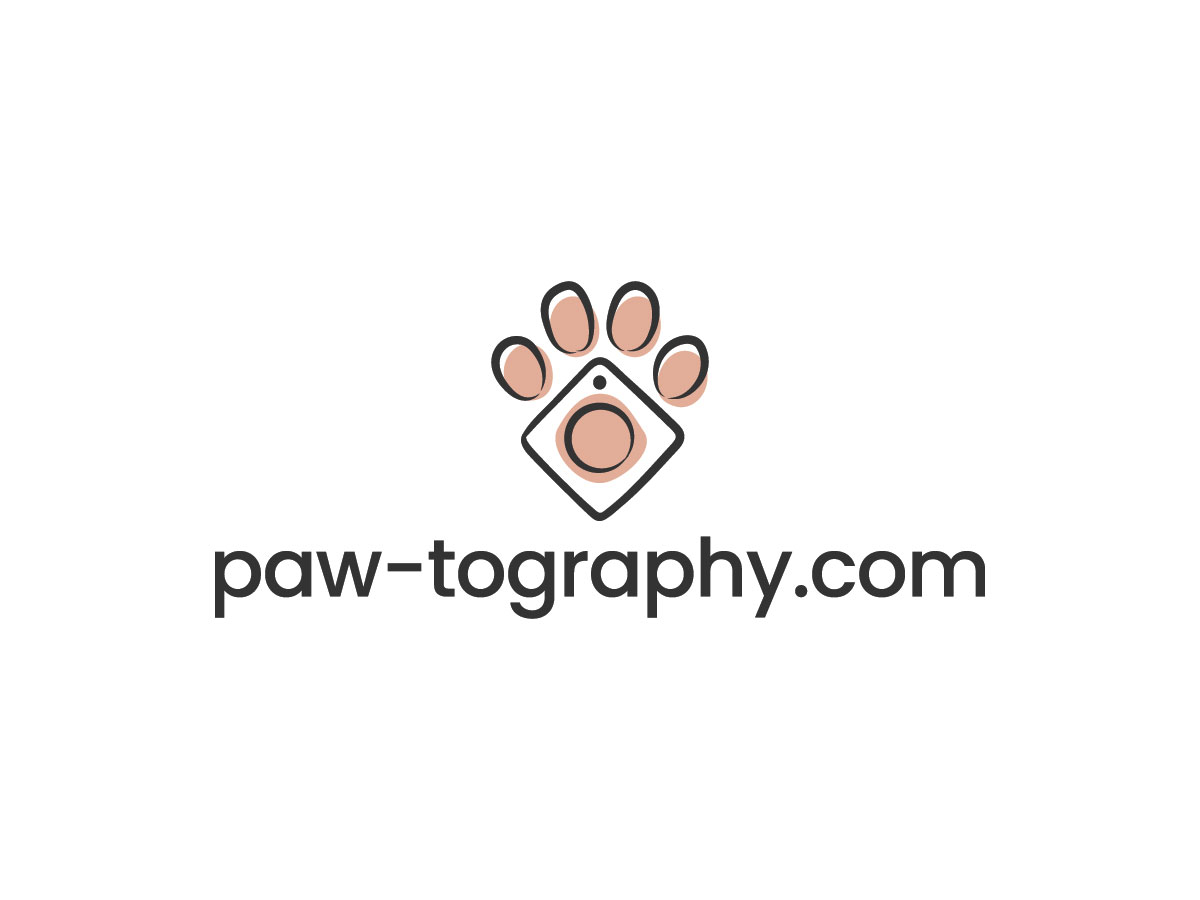 Logo Design by Arletto for this project | Design #34782189