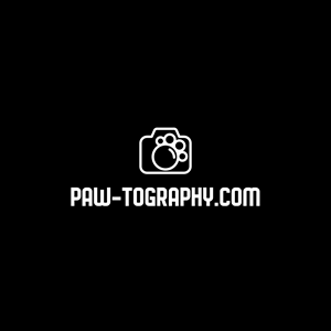 Logo Design by Marcos! for this project | Design: #34794449