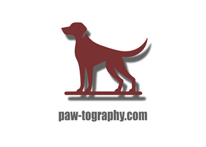 Logo Design by alvflamehaze for this project | Design: #34794829