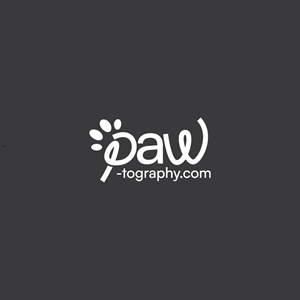 Logo Design by TrisDesign for this project | Design: #34810710