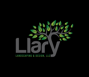 Logo Design by Nova_Create for this project | Design: #34785056