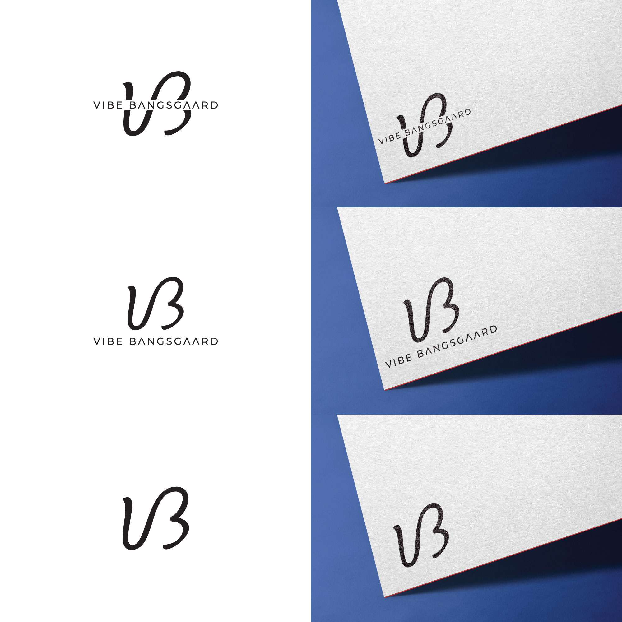 Logo Design by zogo for Vibe Bangsgaard Consulting | Design #34821790