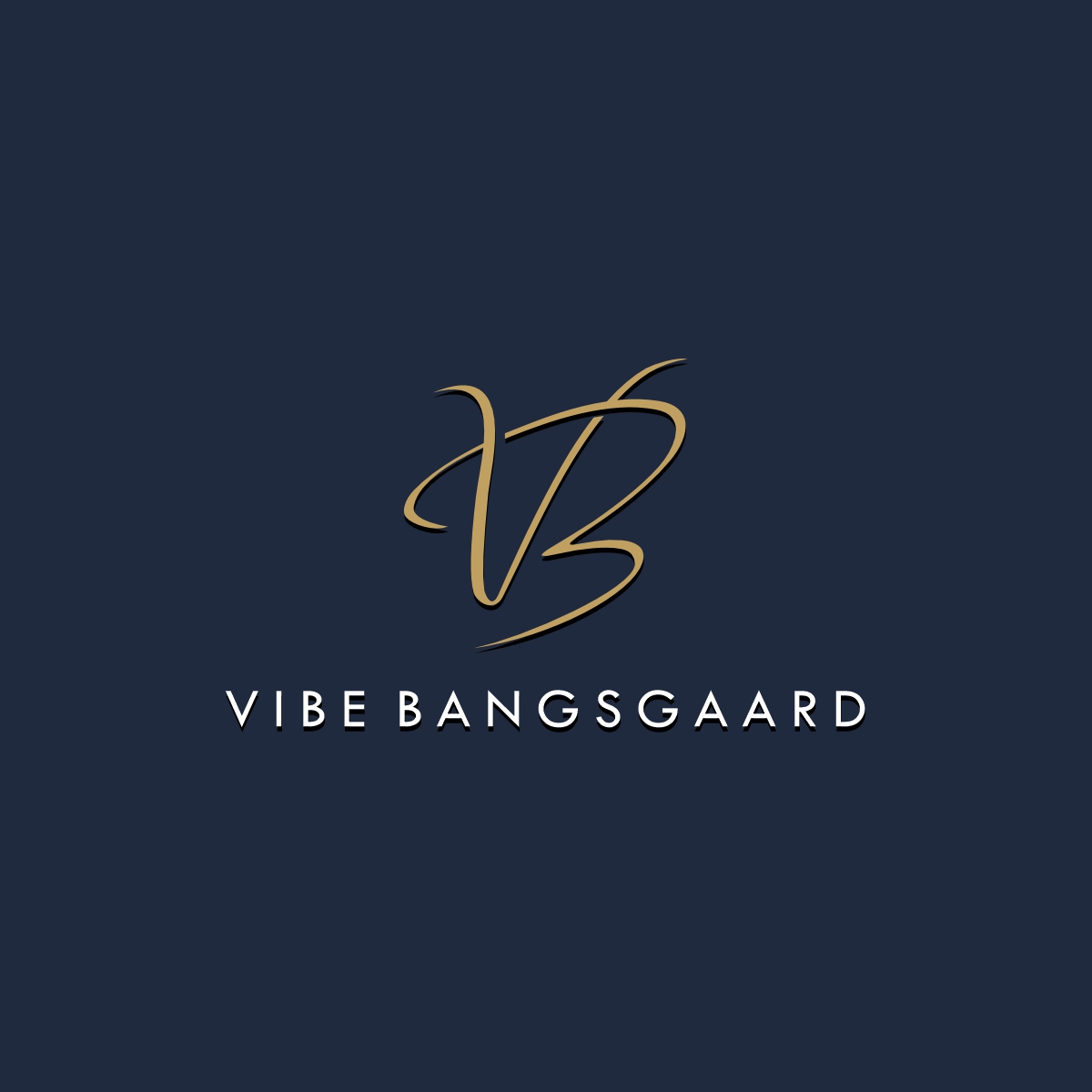 Logo Design by Ashani Bhattacharya for Vibe Bangsgaard Consulting | Design #34788272