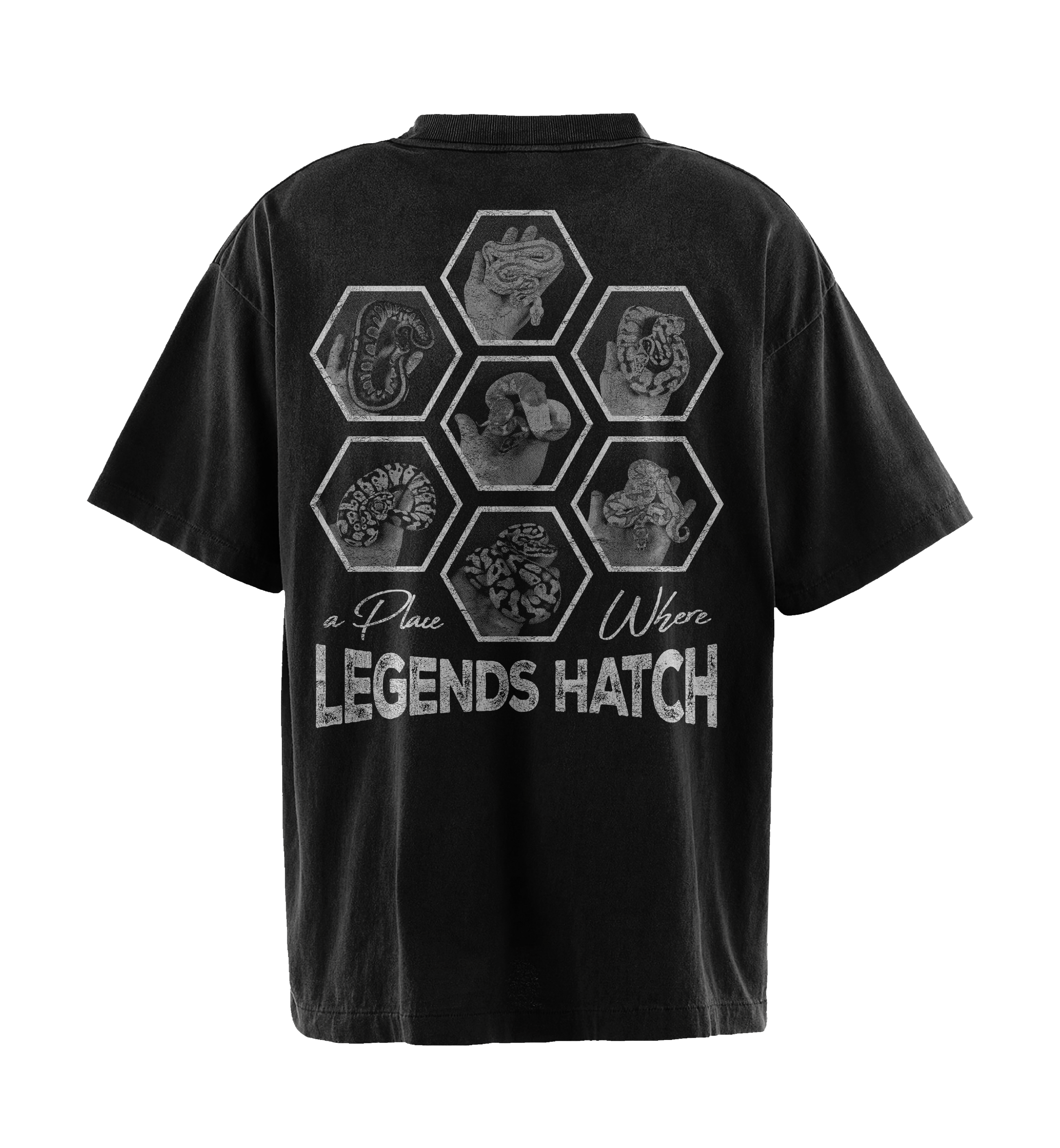 T-Shirt-Design von Alan Nugraha für dieses Projekt | Design #34799362