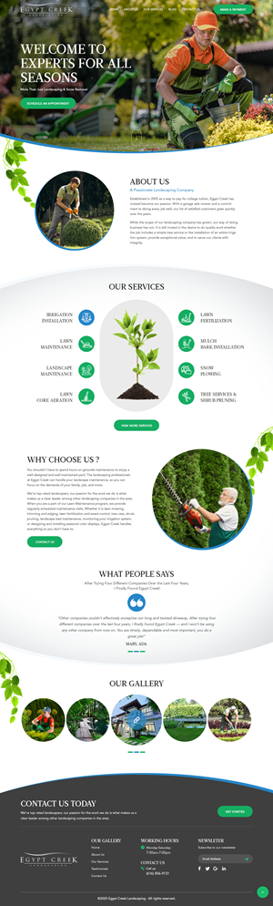 Wordpress Design by nzdesigners