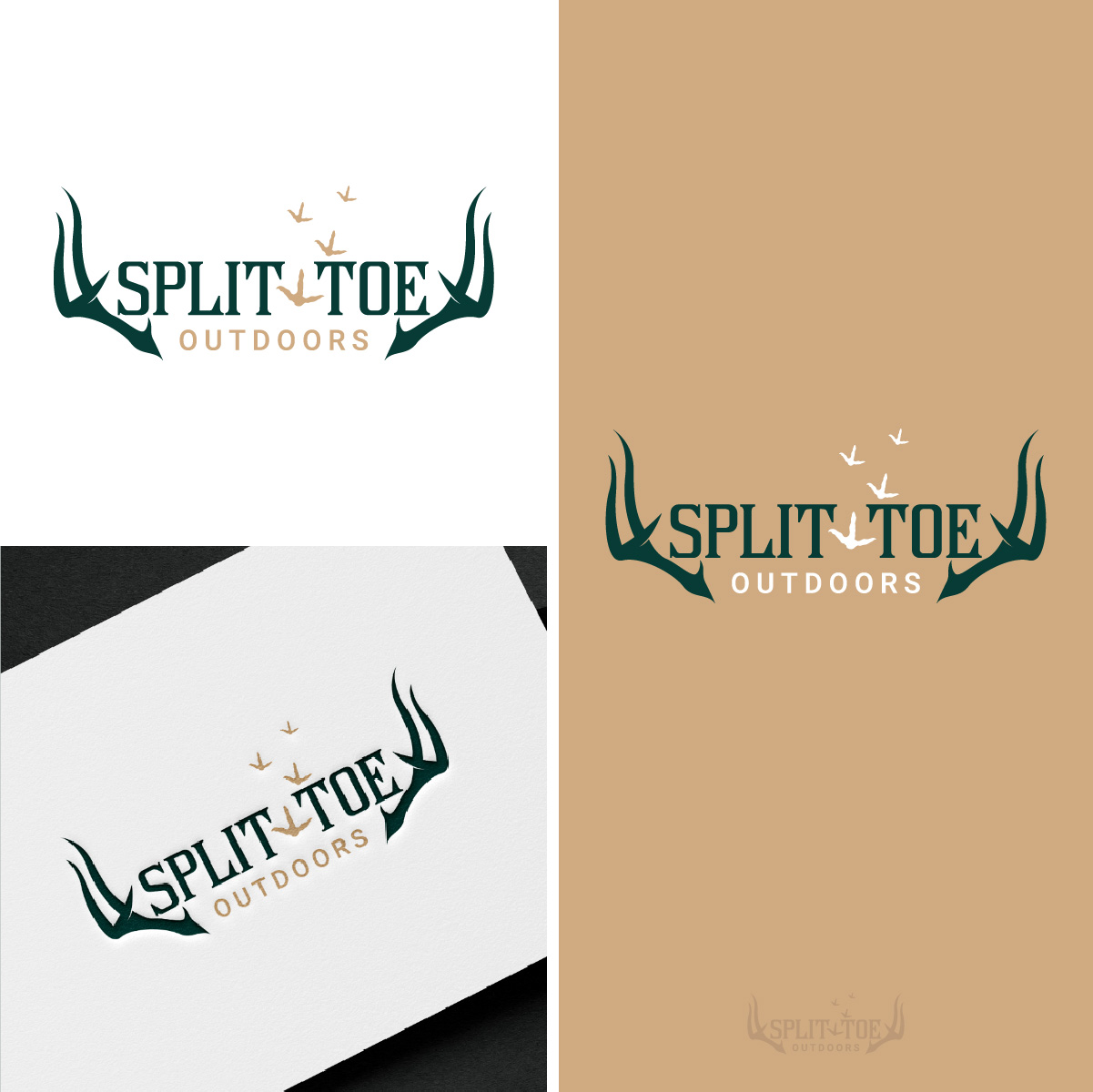 Design de Logo par fly  design pour ce projet | Design #34813535
