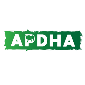 Logo Design by Abdul Basit 2