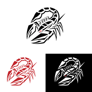 Graphic Design by OZTXY