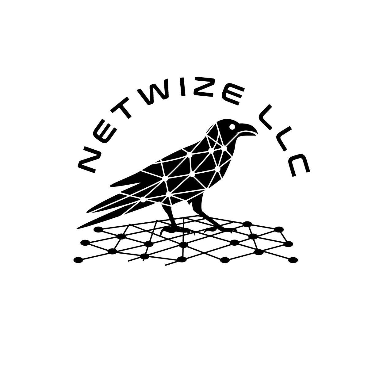 Logo Design by Roland C for NETWIZE LLC | Design #34843781