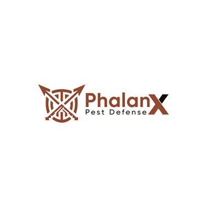 Logo Design by Titu Aslam
