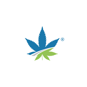 Logo Design by Jerwin Intac for Leading Retirement Solutions LLC | Design: #34849945