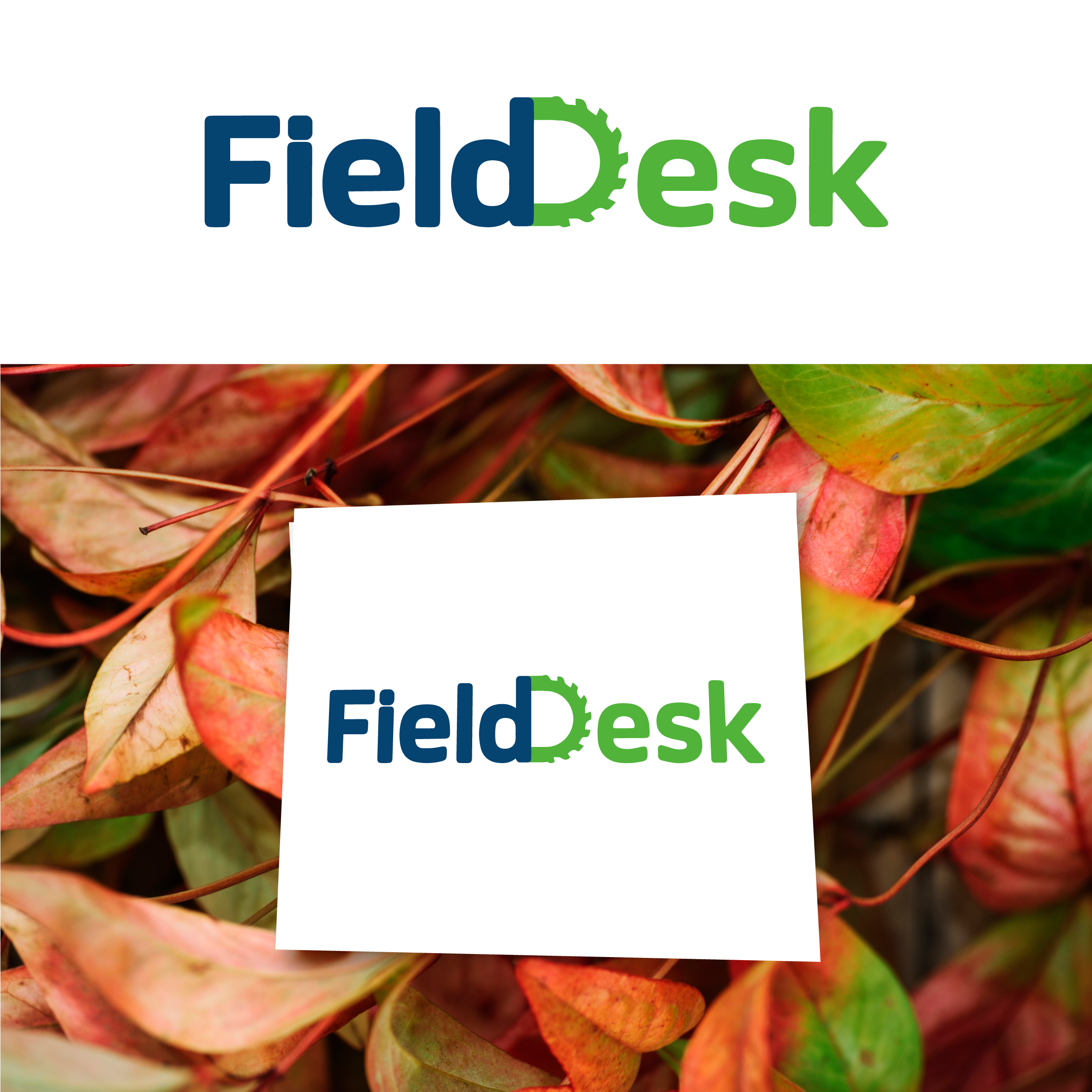 Design de Logo par ctoon 2024 pour ce projet | Design #34897770