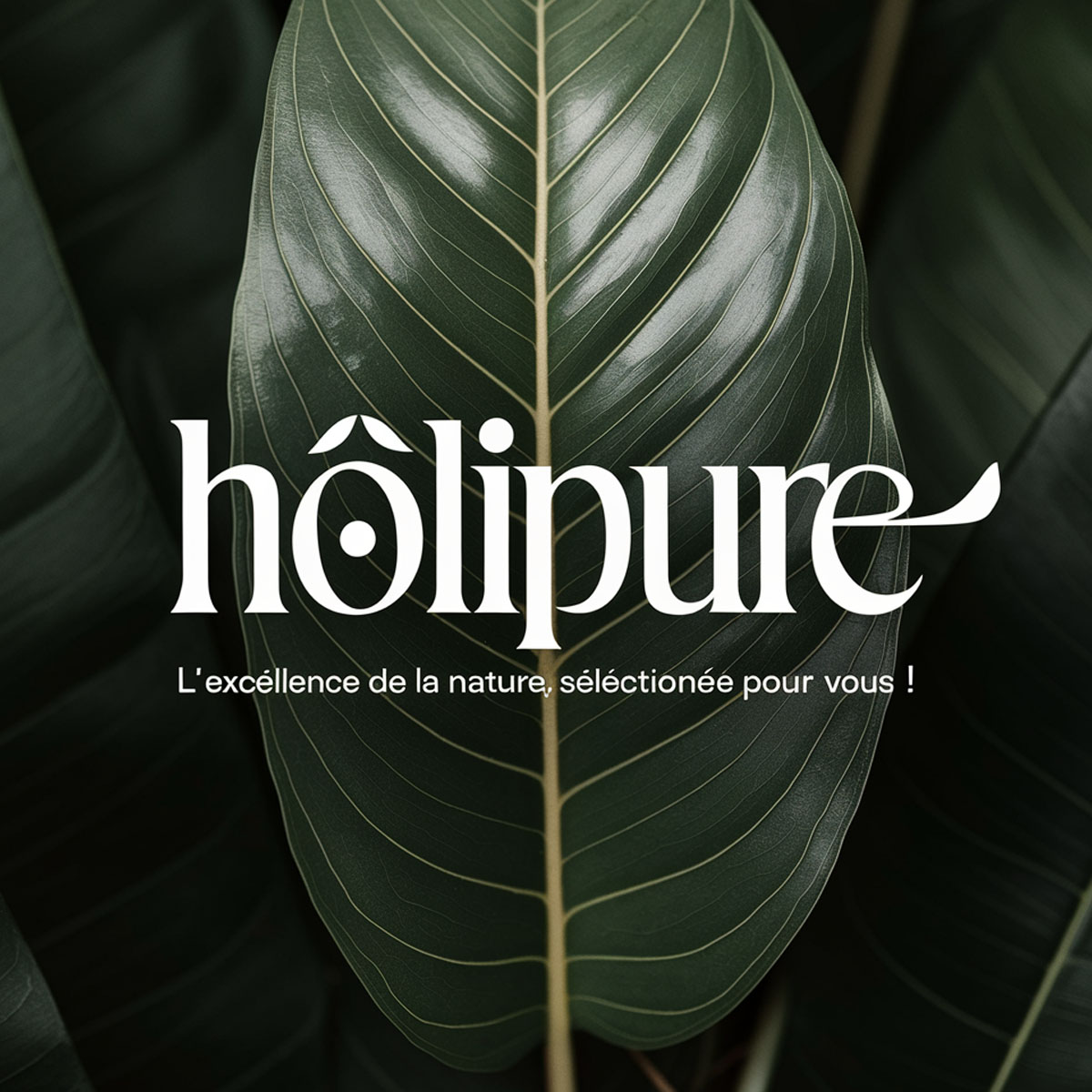 Logo Design by mekail for MKDE | Design #34828407