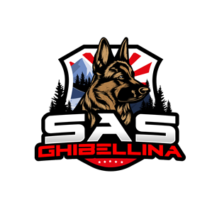 Logo Design by creativeDAGA for this project | Design: #34857926