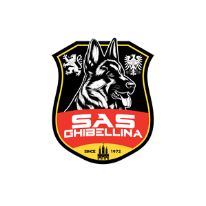 Logo Design by creativeDAGA for this project | Design: #34878143