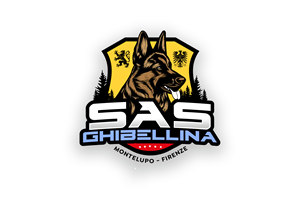 Logo Design by creativeDAGA for this project | Design: #34890610