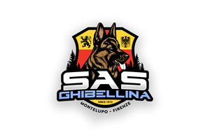 Logo Design by creativeDAGA for this project | Design: #34890658