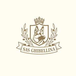 Logo Design by Sakuranight