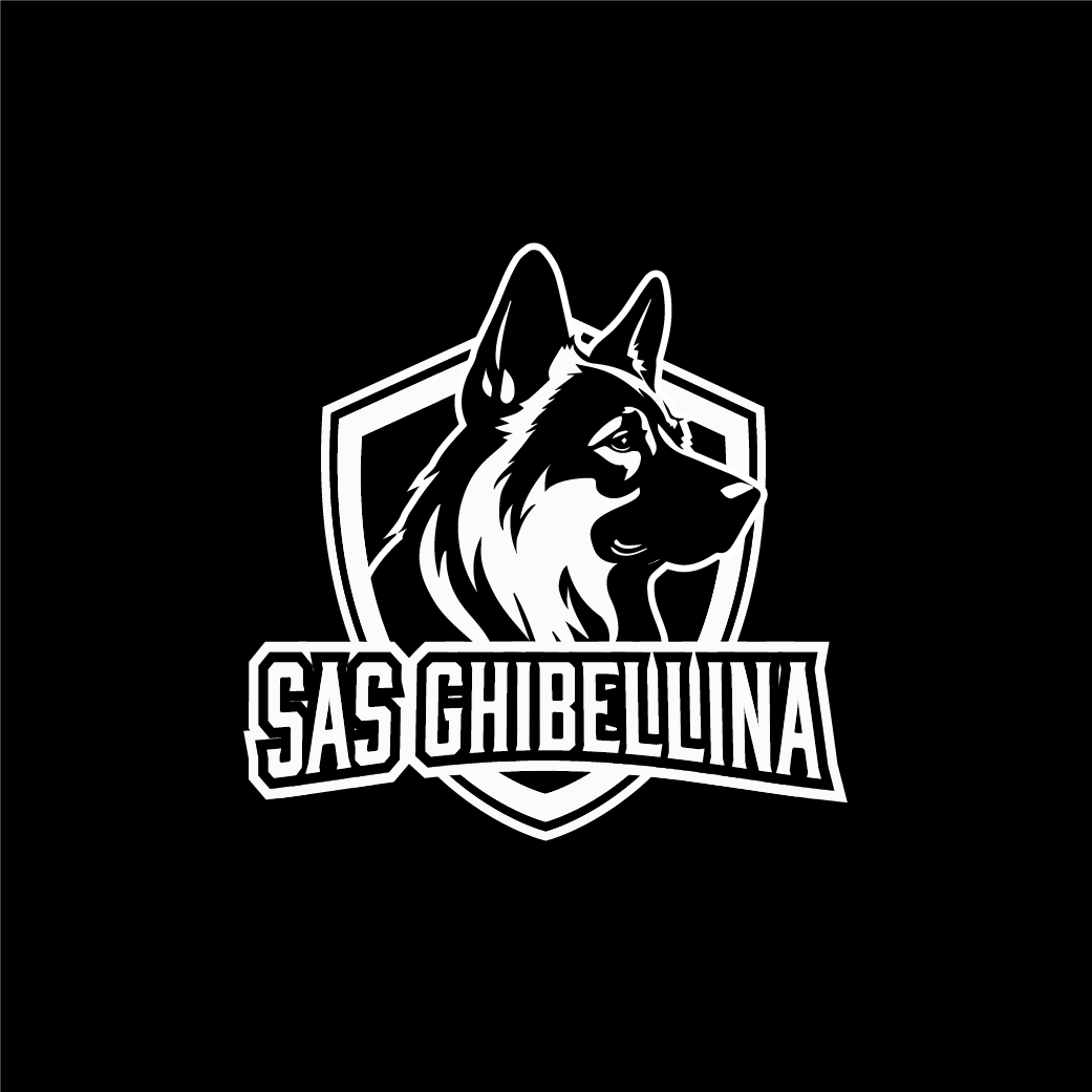 Diseño de Logo por ares_h1 para este proyecto | Diseño #34867307