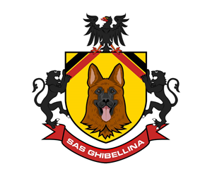 Logo Design by Ansh Design for this project | Design: #34868666