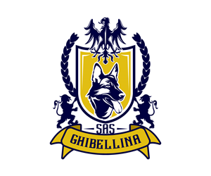 Logo Design by Ansh Design for this project | Design: #34875999