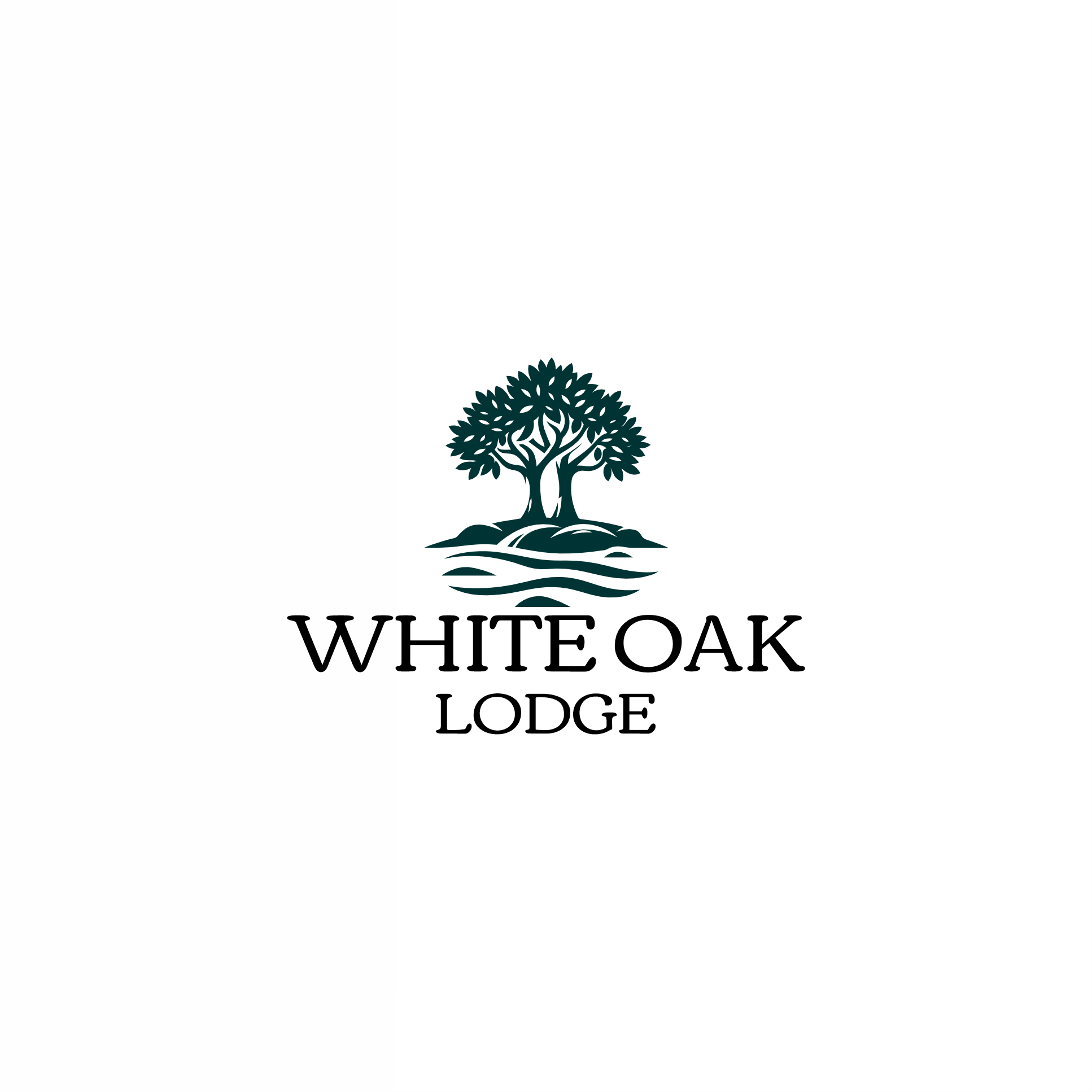 Logo Design by Muhammadsaria for this project | Design #34872002