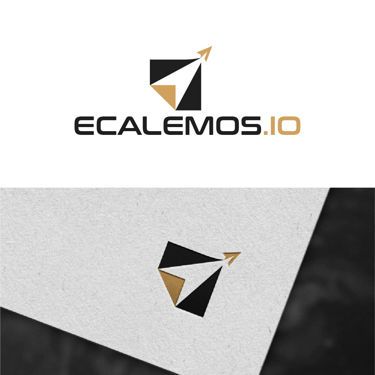 Logo Design by fly  design for this project | Design #34843365