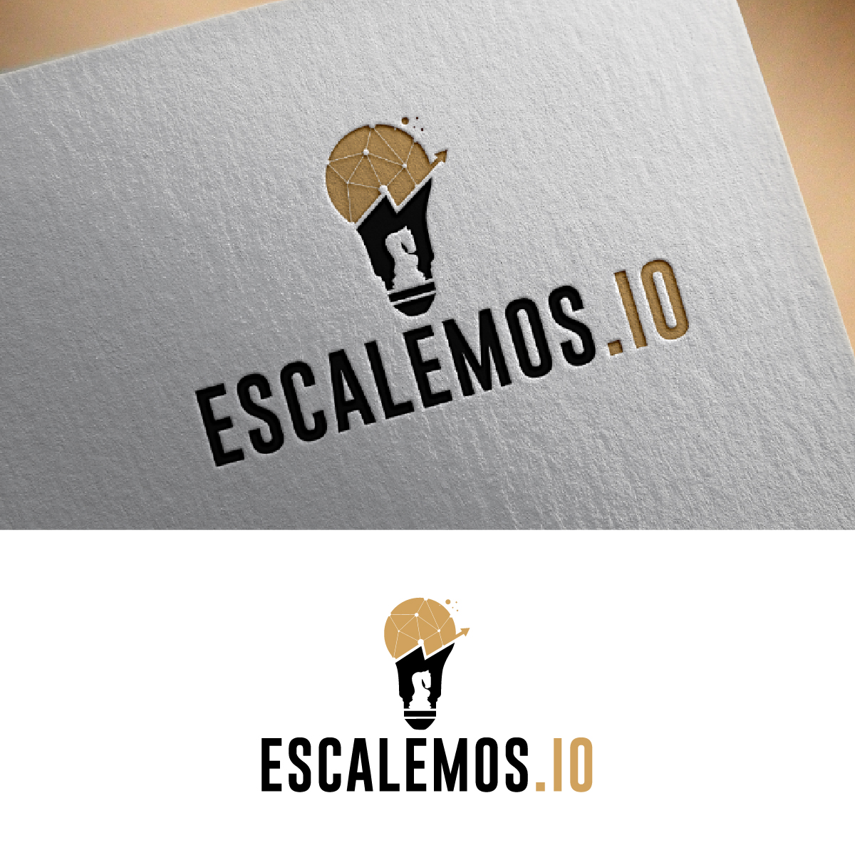 Logo Design by fly  design for this project | Design #34843368