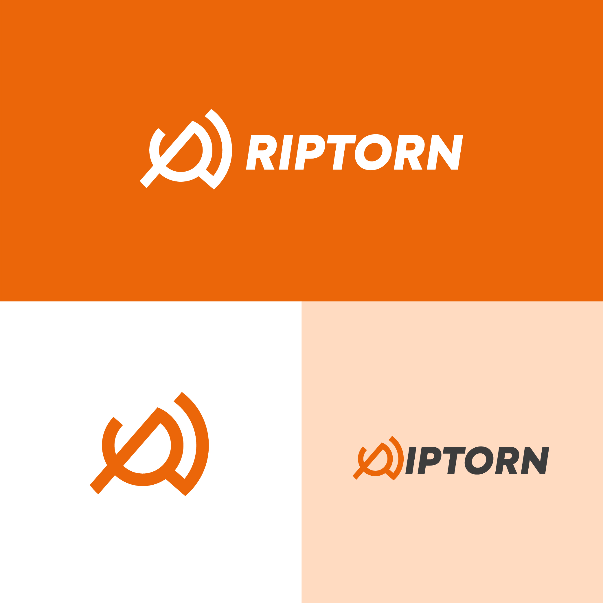 Logo Design by Mohamed.El for Mint Signs and Graphics Ltd | Design #34880932
