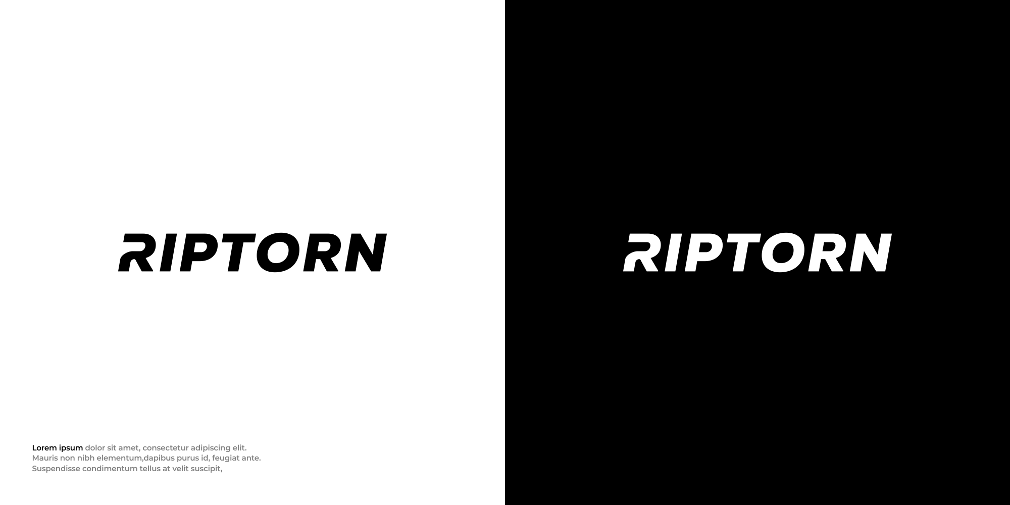Logo Design by Mantra™ for Mint Signs and Graphics Ltd | Design #34842513