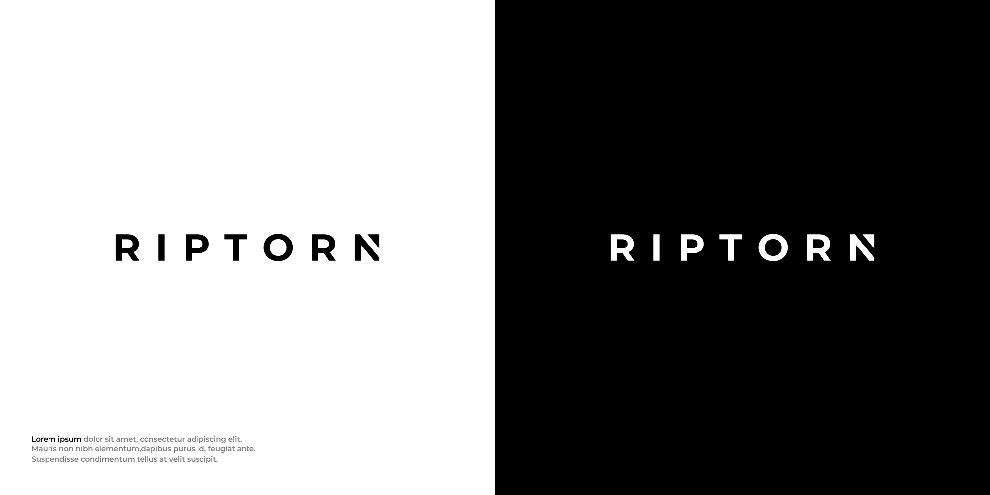 Logo Design by Mantra™ for Mint Signs and Graphics Ltd | Design #34842514